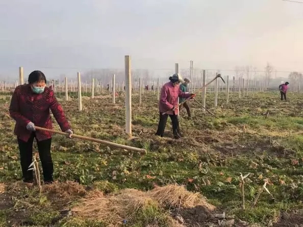 181582011257827872.jpeg 640.webp (4).jpg