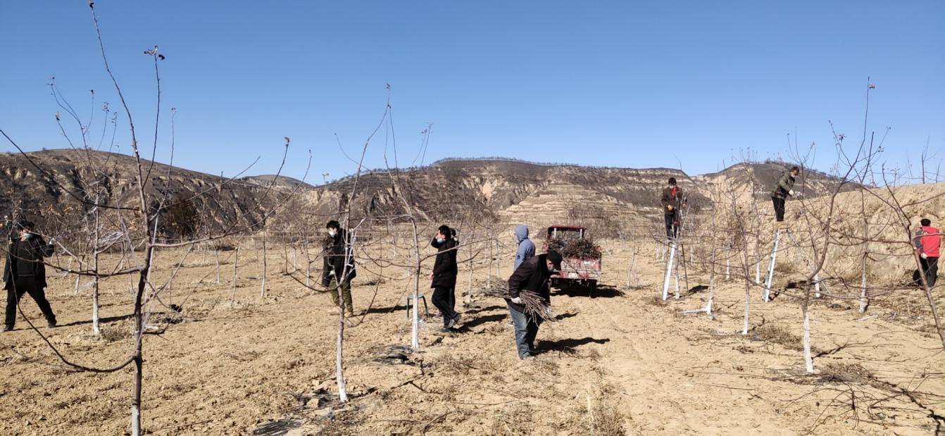 201582198203924696.png 图片4.png