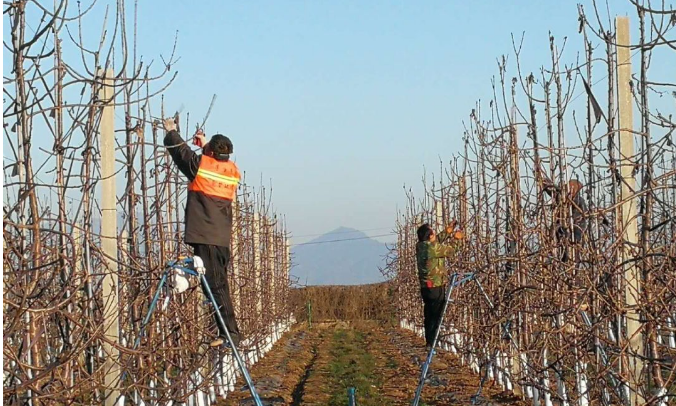 211582277108924712.png 11.png