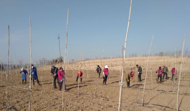 211582277127164371.png 122.png