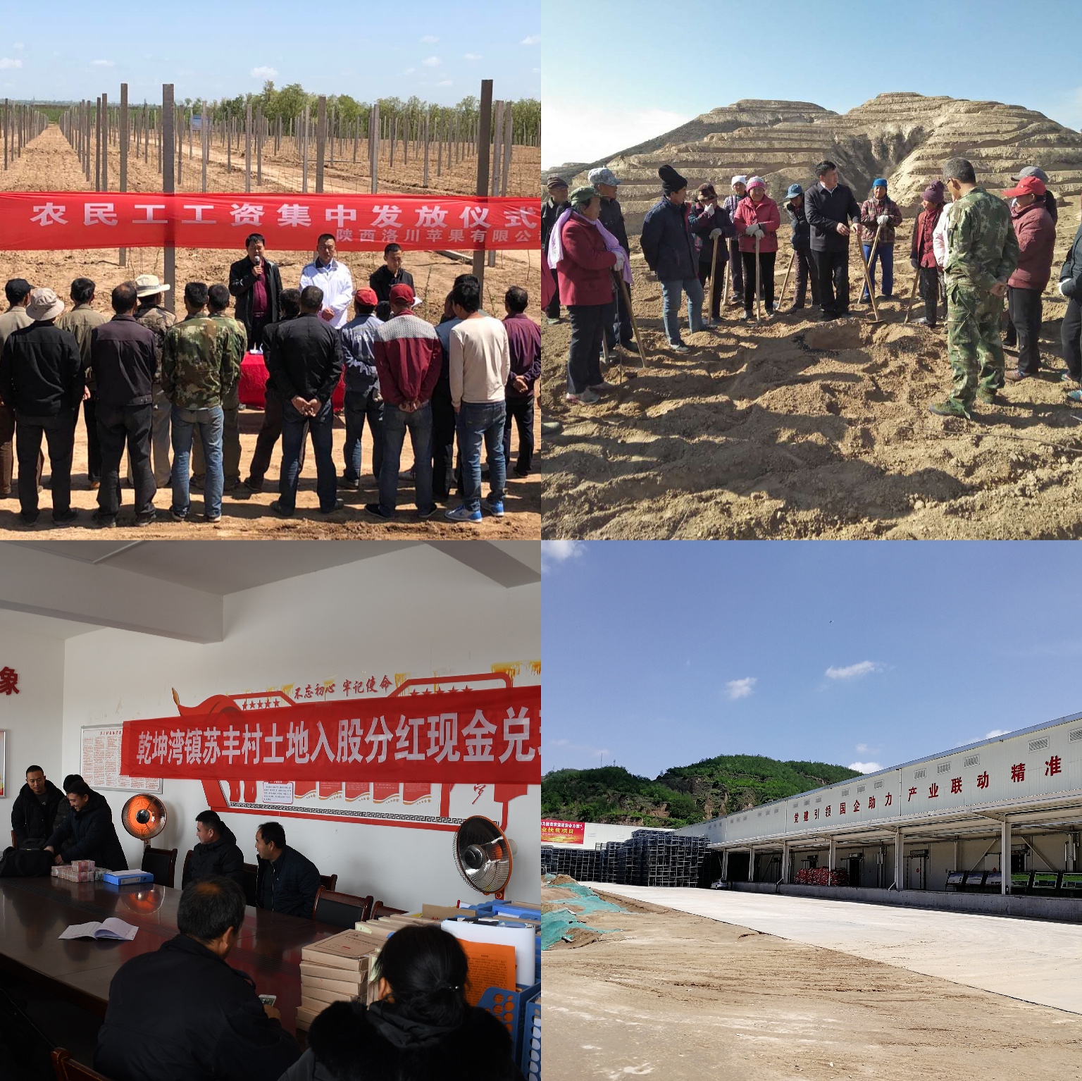 311585649850374529.jpeg 2.jpg