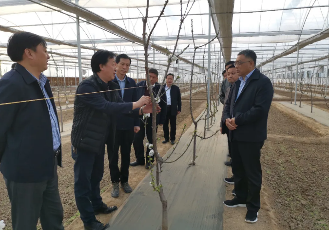 051586096202527289.png 微信截图_20200405221544.png