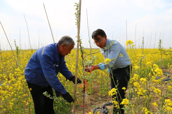 111589189639789219.png 微信截图_20200511173331.png