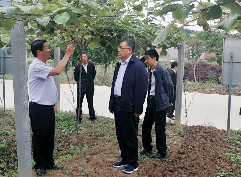 181589764343607242.jpeg 181589764343607242.jpeg