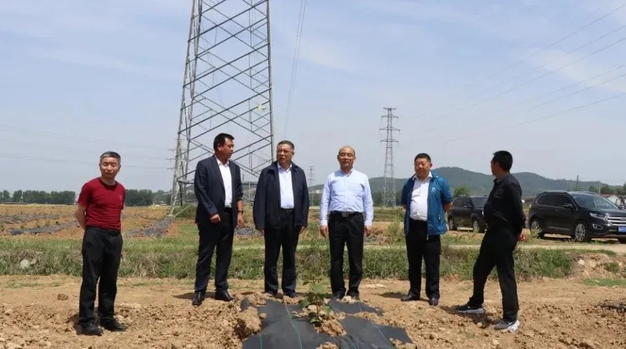 181589764409495248.jpeg 181589764409495248.jpeg