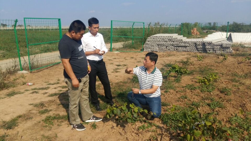 031591167456151817.jpeg 1505729280432506.jpg