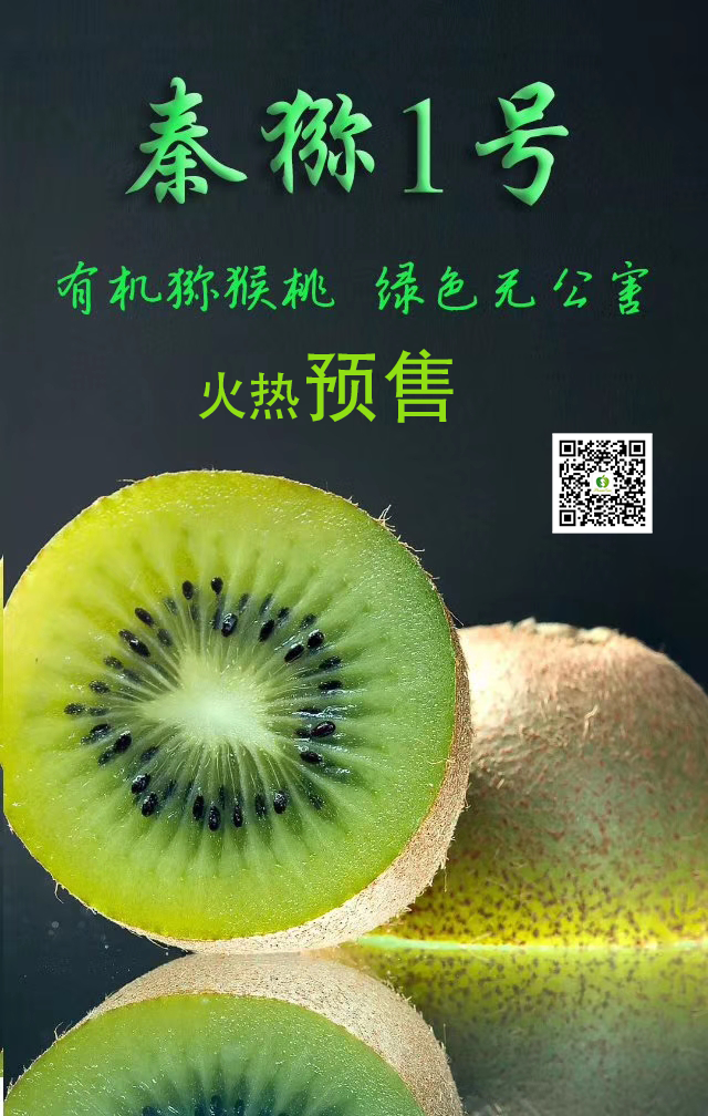 031591173512204882.png 640_wx_fmt=png&tp=webp&wxfrom=5&wx_lazy=1&wx_co=1 (1).png