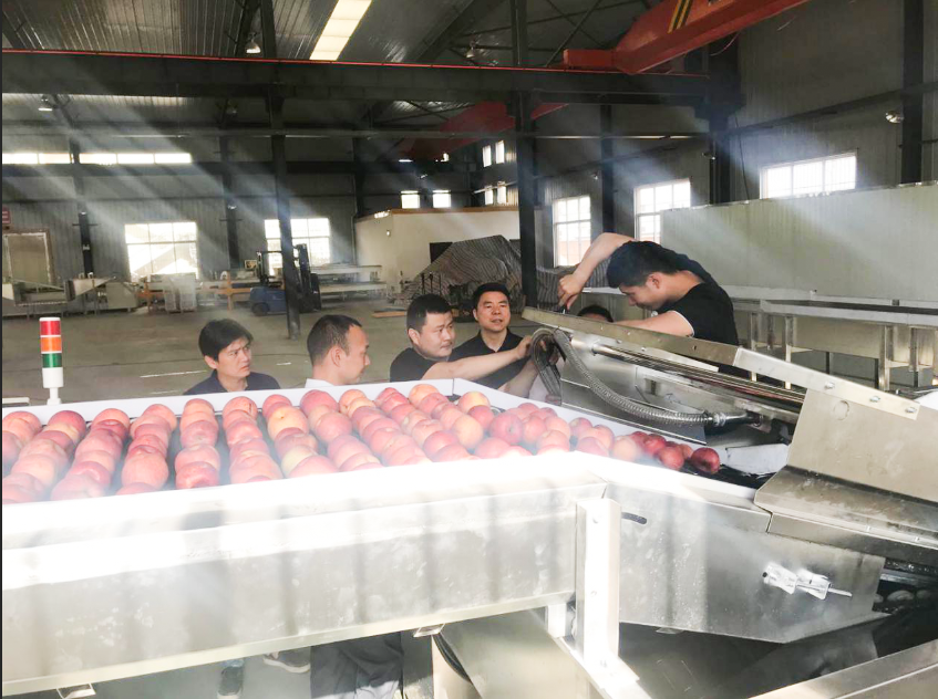 031591173612914113.png 640_wx_fmt=png&tp=webp&wxfrom=5&wx_lazy=1&wx_co=1 (4).png