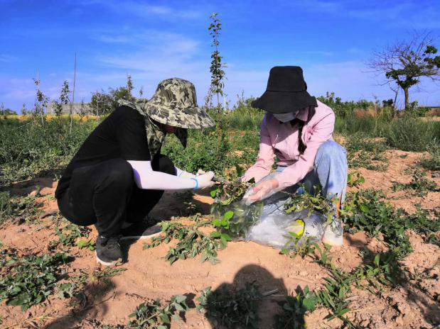 031591173666137642.png 640_wx_fmt=png&tp=webp&wxfrom=5&wx_lazy=1&wx_co=1 (7).png