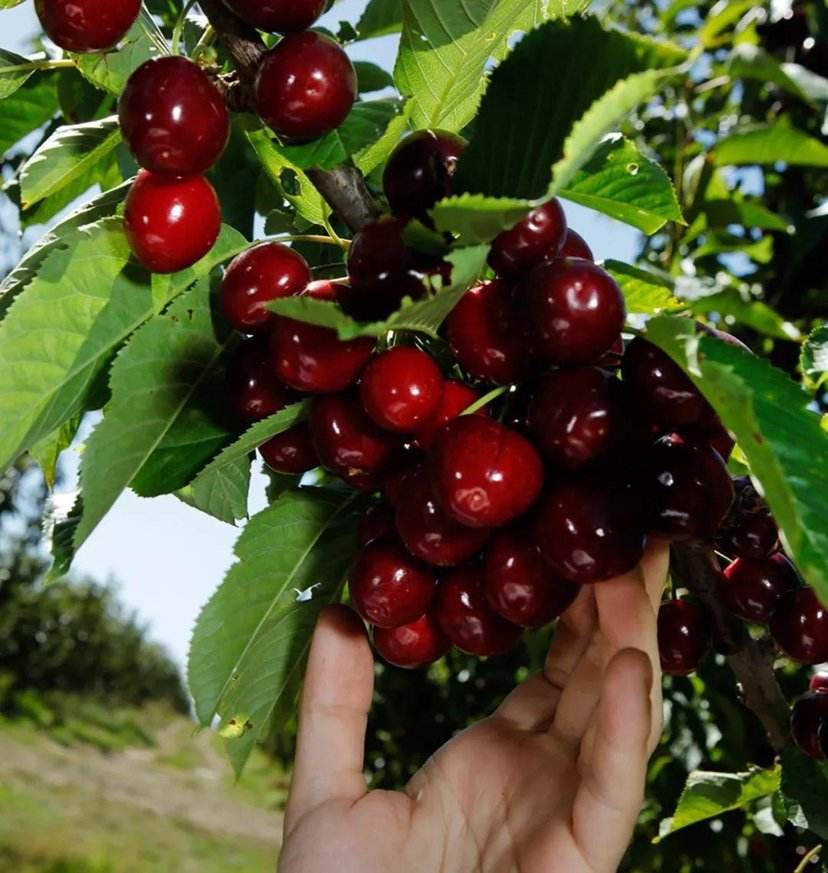 041591231696174545.jpeg 041591231696174545.jpeg