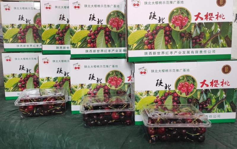 041591231780106475.jpeg 7..jpg