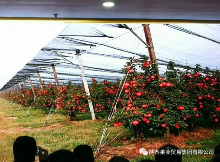 041591235081708613.png QQ浏览器截图20200604094137.png