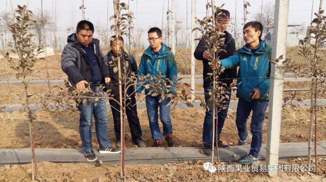 041591254597941065.png QQ浏览器截图20200604150547.png