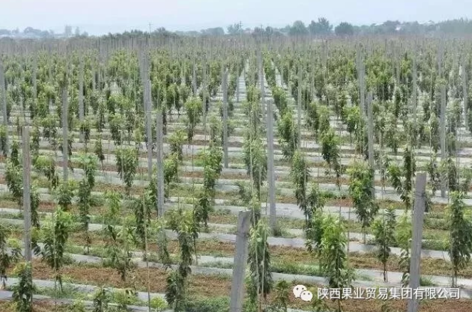 041591256504967072.png QQ浏览器截图20200604153800.png