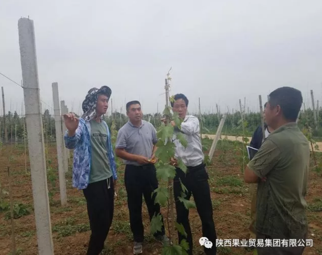 041591256512324341.png QQ浏览器截图20200604153827.png