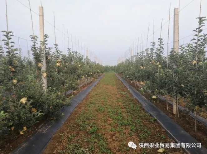 041591256532590087.png QQ浏览器截图20200604153844.png