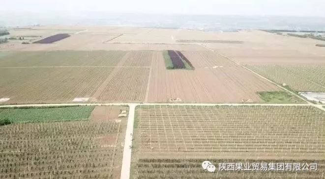 041591256547764567.png QQ浏览器截图20200604153836.png