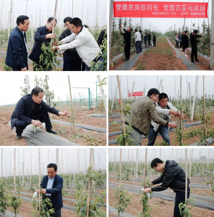 111591857694663254.png QQ浏览器截图20200611143735.png