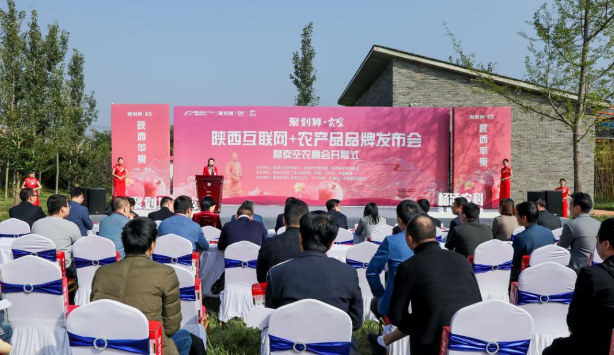 111591860812799614.png QQ浏览器截图20200611152908.png