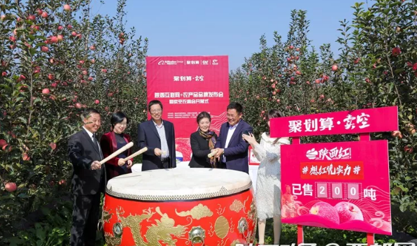 111591860843108471.png QQ浏览器截图20200611152948.png