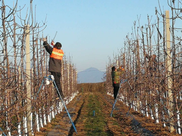 151592206641811462.png QQ浏览器截图20200615153359.png