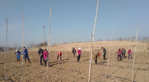 151592206652752704.png QQ浏览器截图20200615153411.png