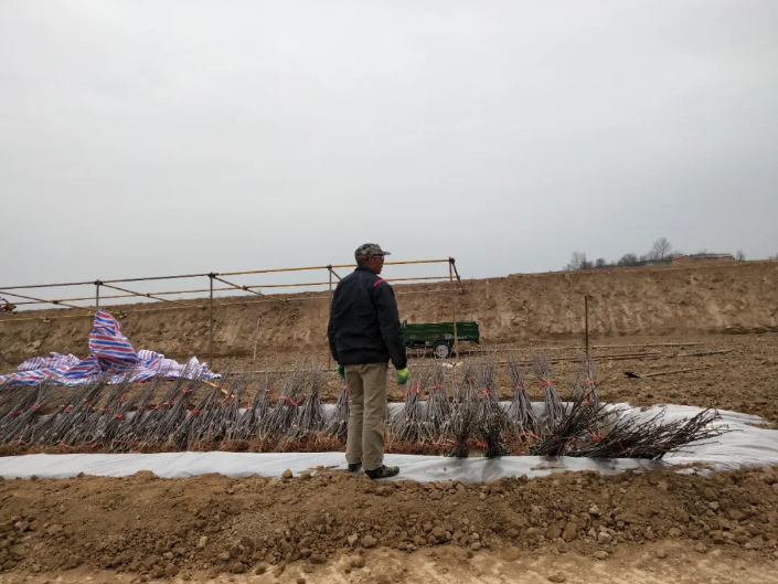 151592209748841816.png QQ浏览器截图20200615162503.png