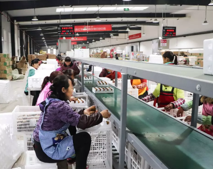 151592211136540236.png QQ浏览器截图20200615164838.png