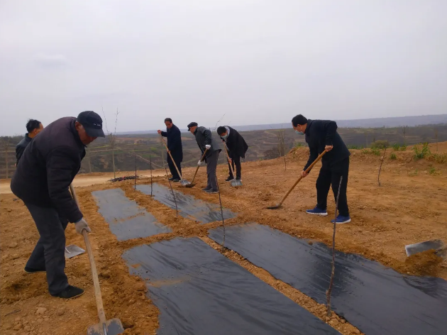 151592211281457126.png QQ浏览器截图20200615165053.png