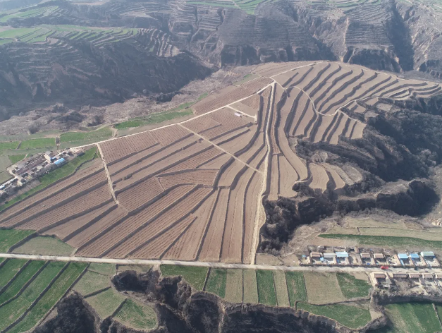 151592211295354305.png QQ浏览器截图20200615165102.png