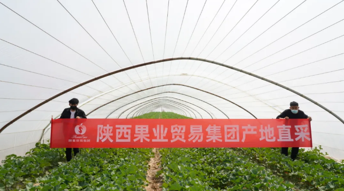 151592211536777805.png QQ浏览器截图20200615165524.png