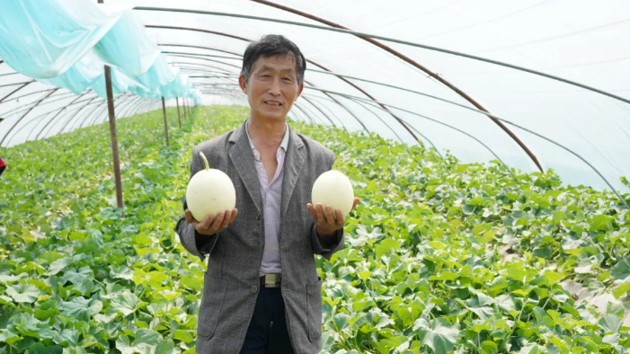 151592211546505472.png QQ浏览器截图20200615165533.png