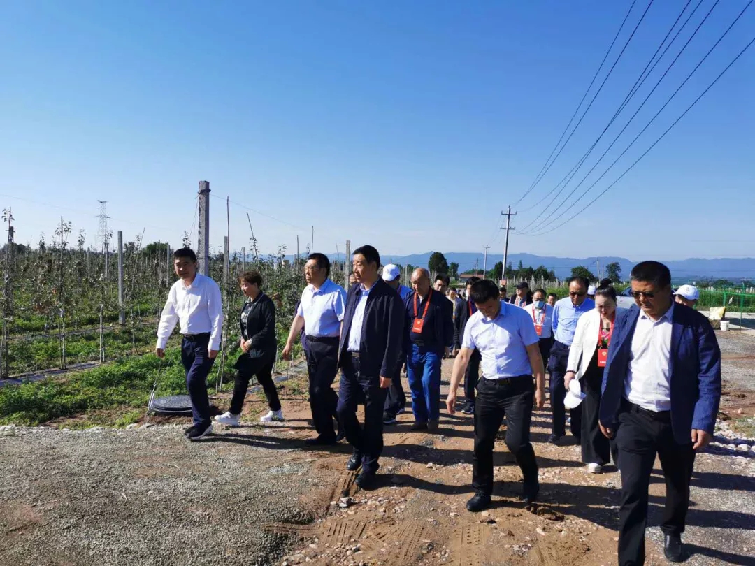 231592895927775901.jpeg 231592895927775901.jpeg