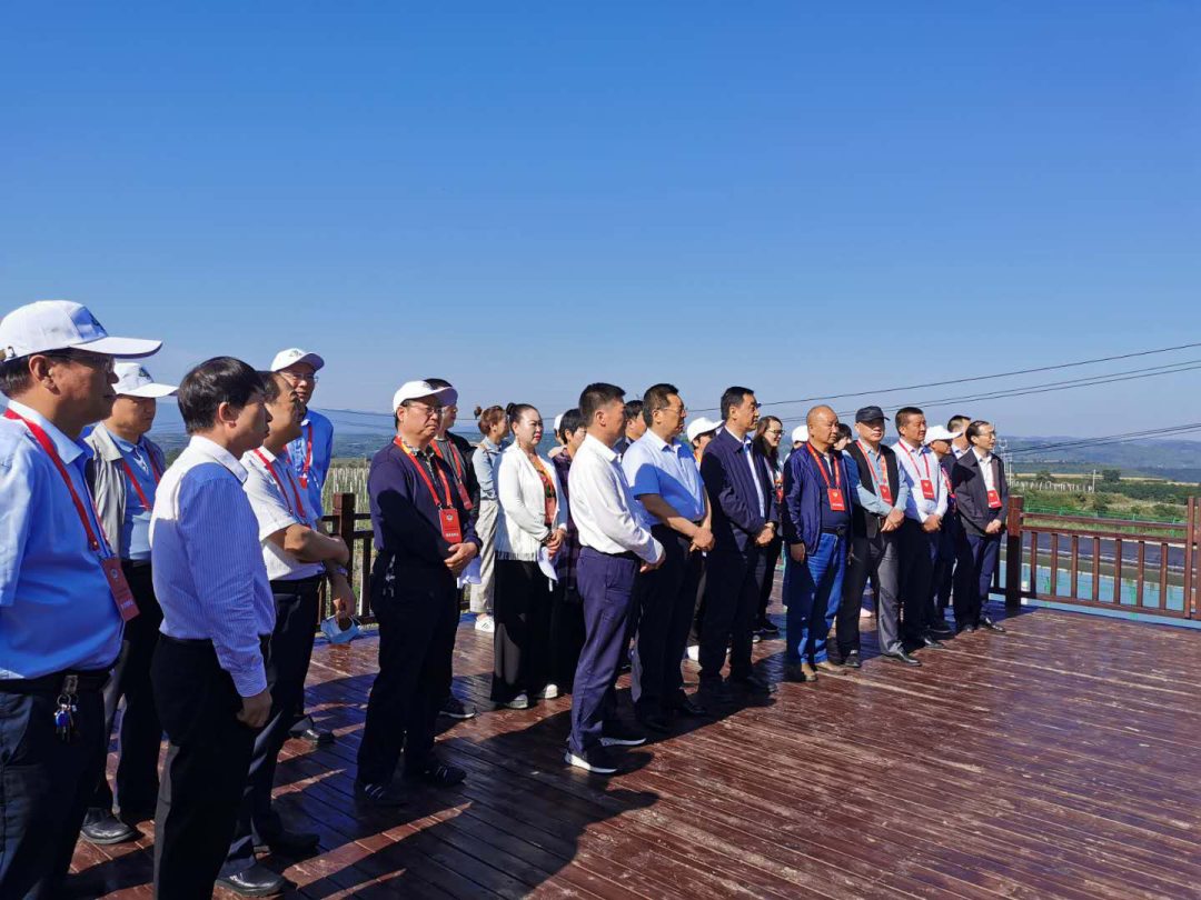 231592895987893502.png 231592895987893502.png