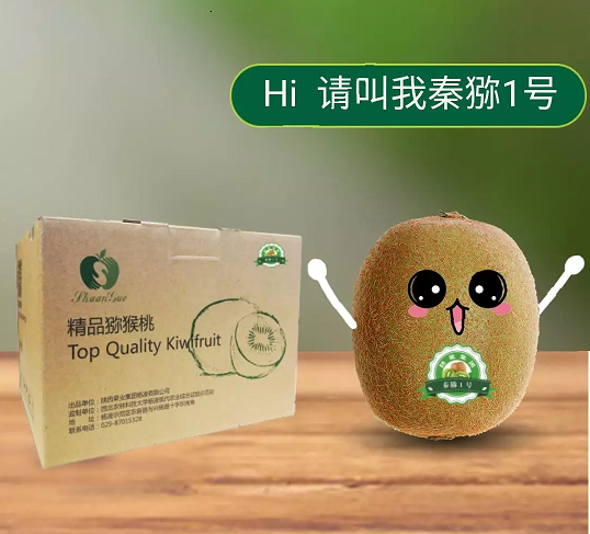 141594690211131391.png 596b1f7f0219535d3c3d9441b6cf33f.png