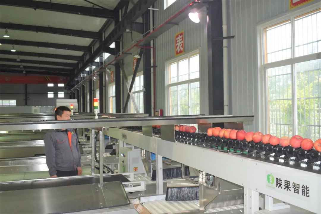 191595128794689438.png 图片1.png