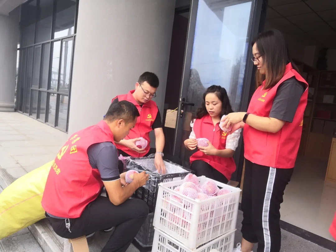 291595983672899855.jpeg 640.webp.jpg