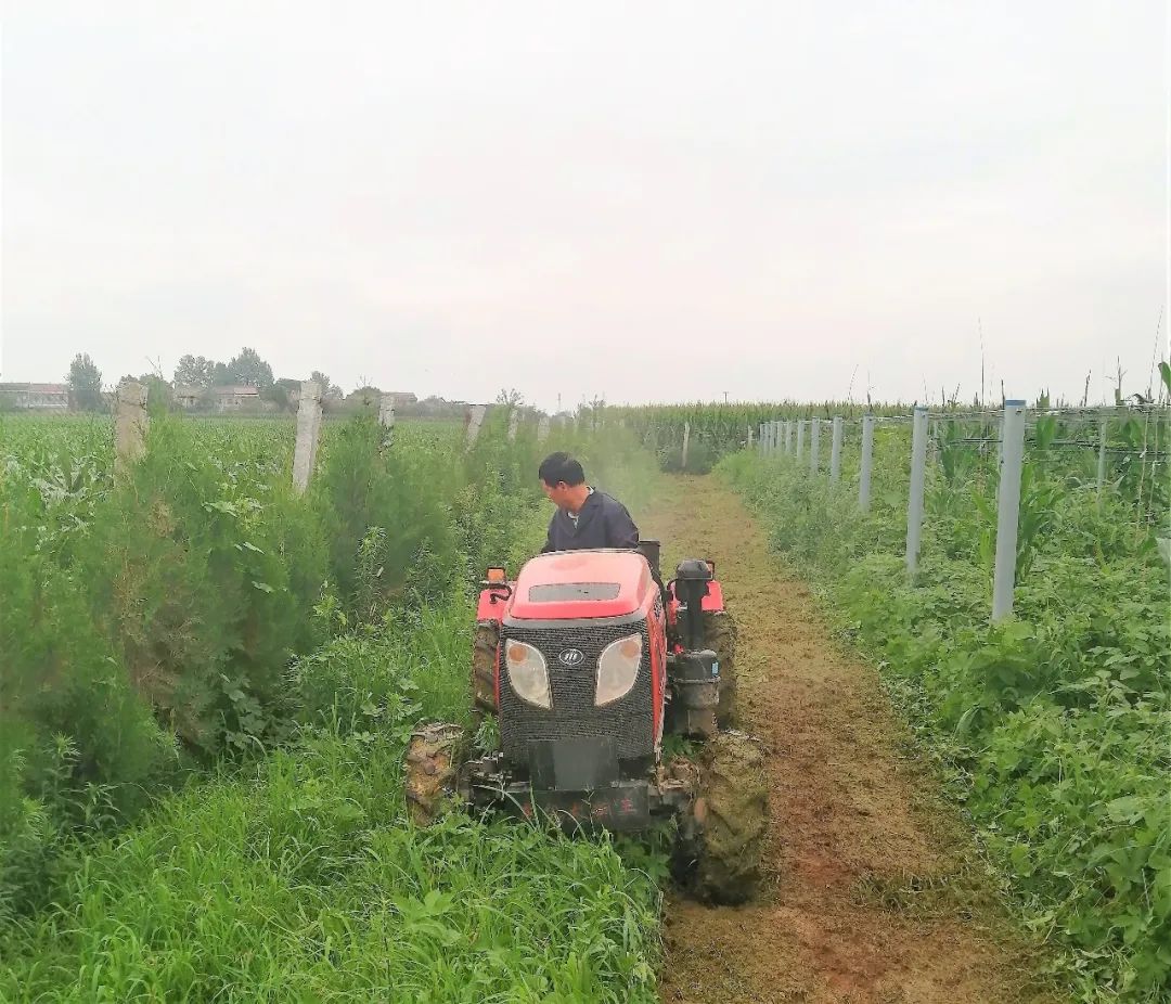 291595984066159683.jpeg 291595984066159683.jpeg