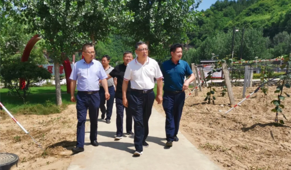 031596420398536378.png 29.png