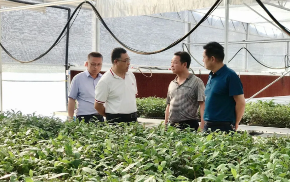 031596420410988975.png 30.png