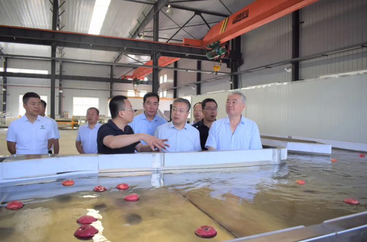 031596420621886599.png 2.png