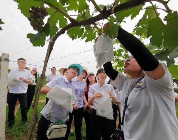 031596420755576643.png 4.png