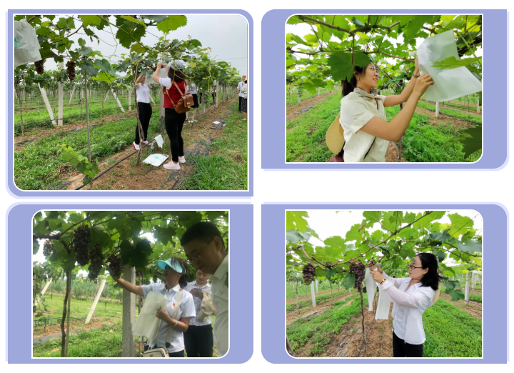 031596420765205515.png 5.png