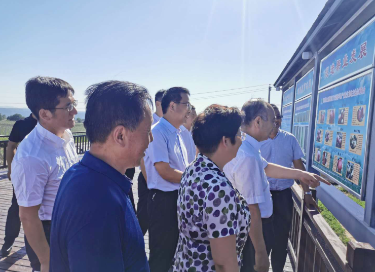 031596421222783502.png 8.png