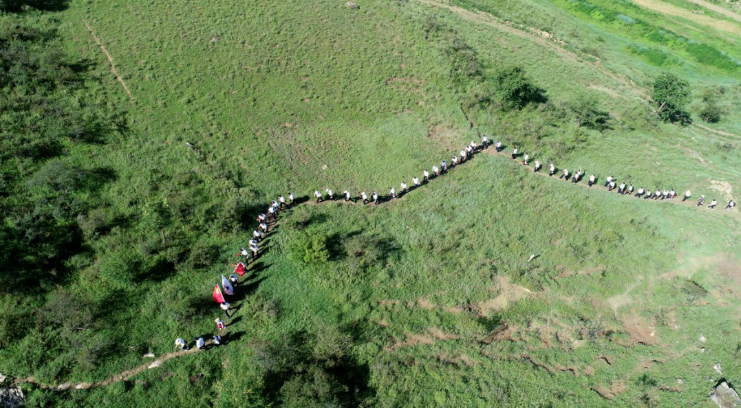 031596422688299786.png 29.png