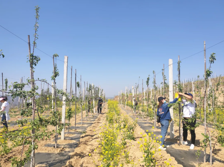 031596422966699209.png 32.png