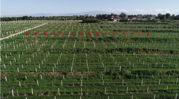 051596589337244958.png 48.png