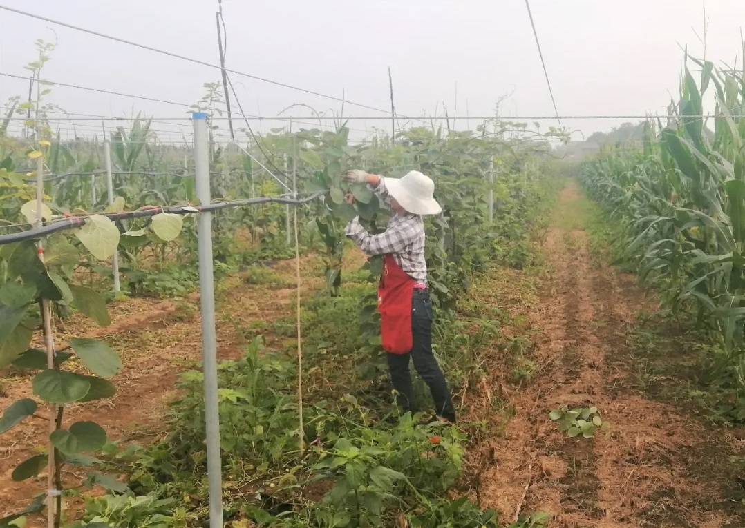 051596590278346487.jpeg 基地12.jpg