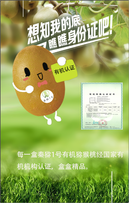 051596591810519694.png 640_wx_fmt=png&tp=webp&wxfrom=5&wx_lazy=1&wx_co=1 (4).png