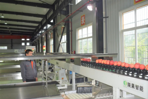 051596591828421181.png 陕果智能.png